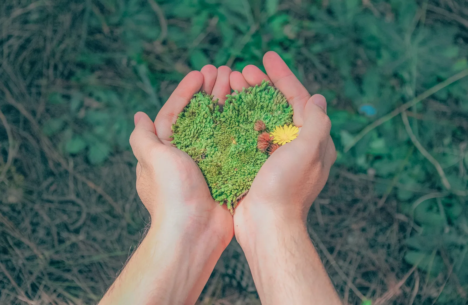 3 tecnologías para convertir tu empresa en “cero papel”