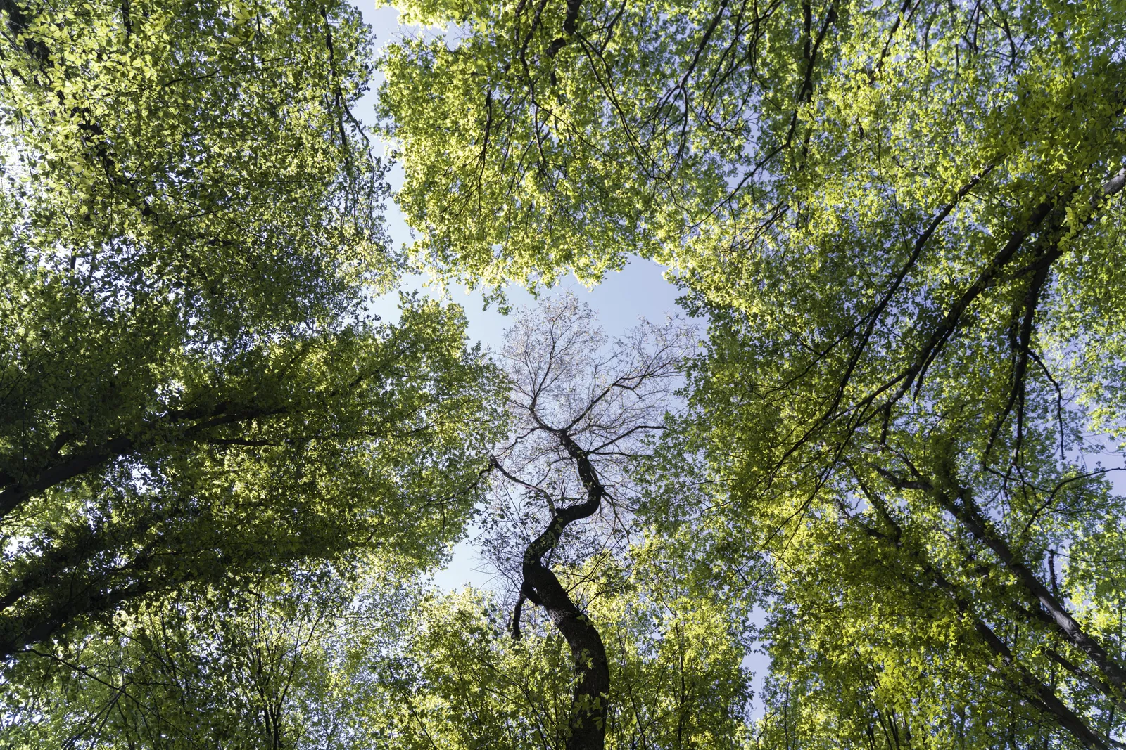 La importancia de los recursos naturales y la urgencia de su conservación