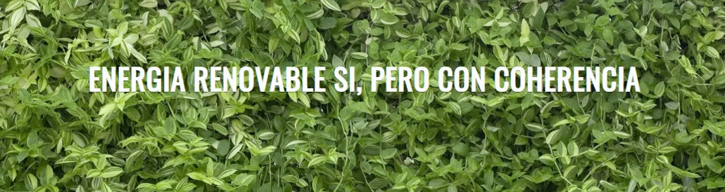 Energía verde y sostenible, pero con coherencia