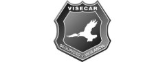 Visecar
